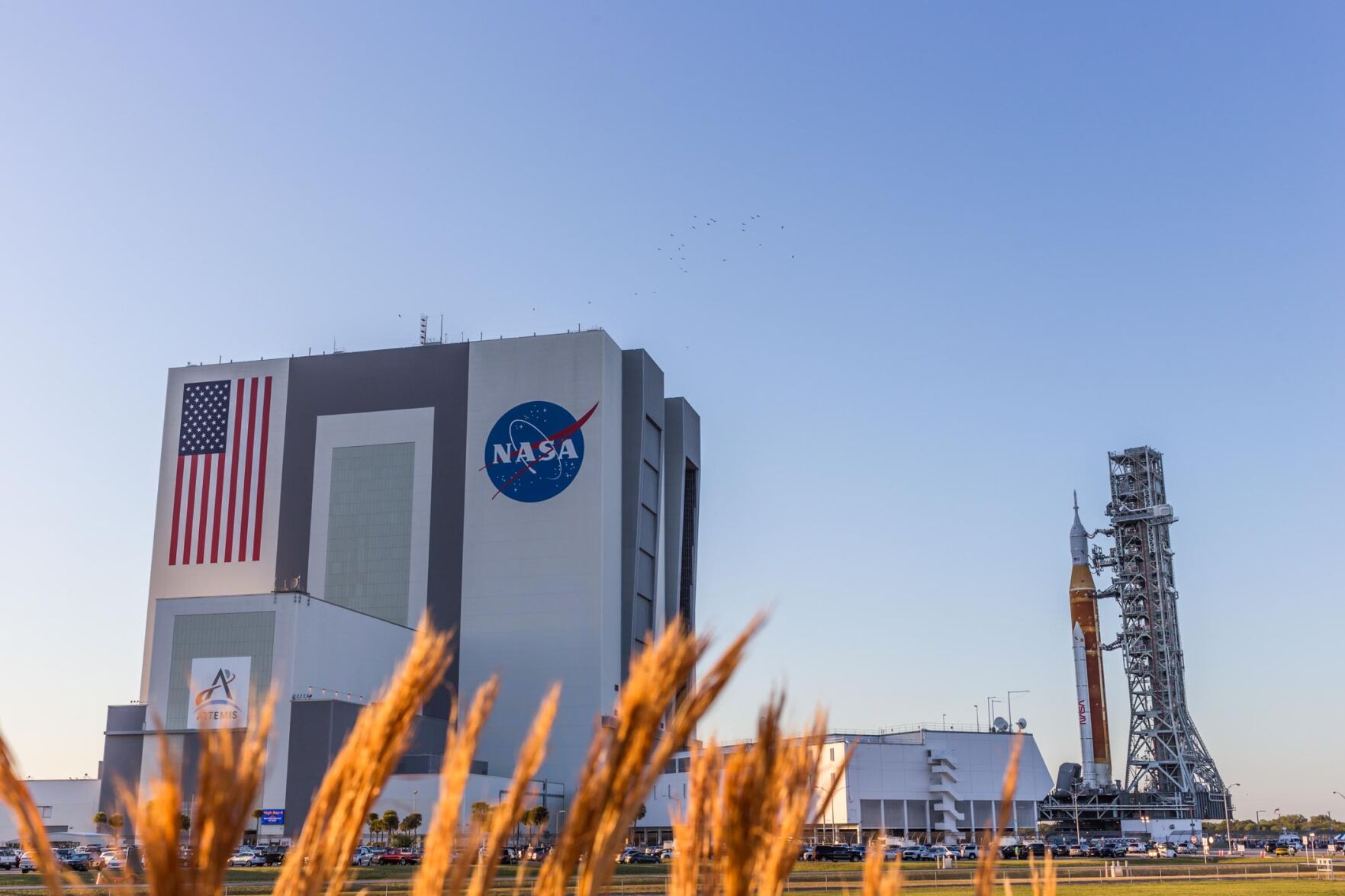 SLS-1